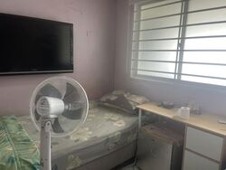 Blk 808 Woodlands Street 81 (Woodlands), HDB Executive #561798101